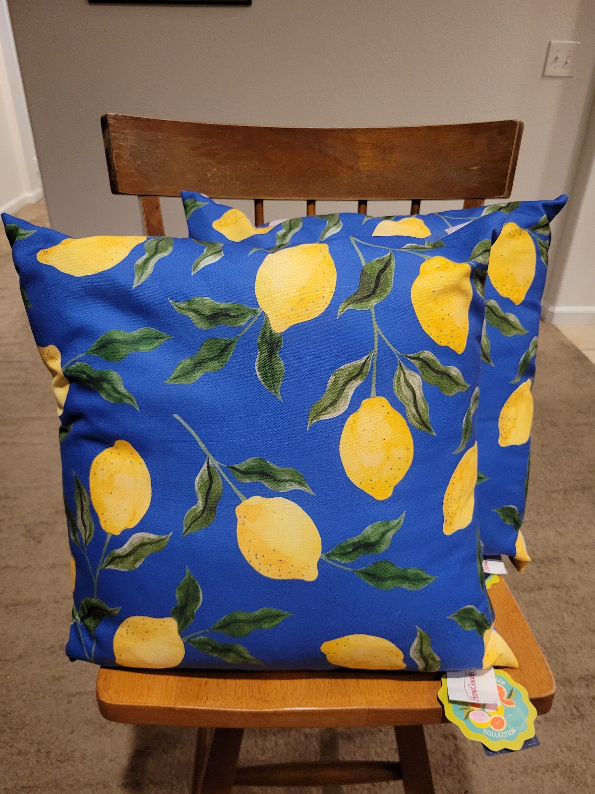 Home Decor/Couch Pillows