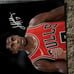 Chicago Bulls lot