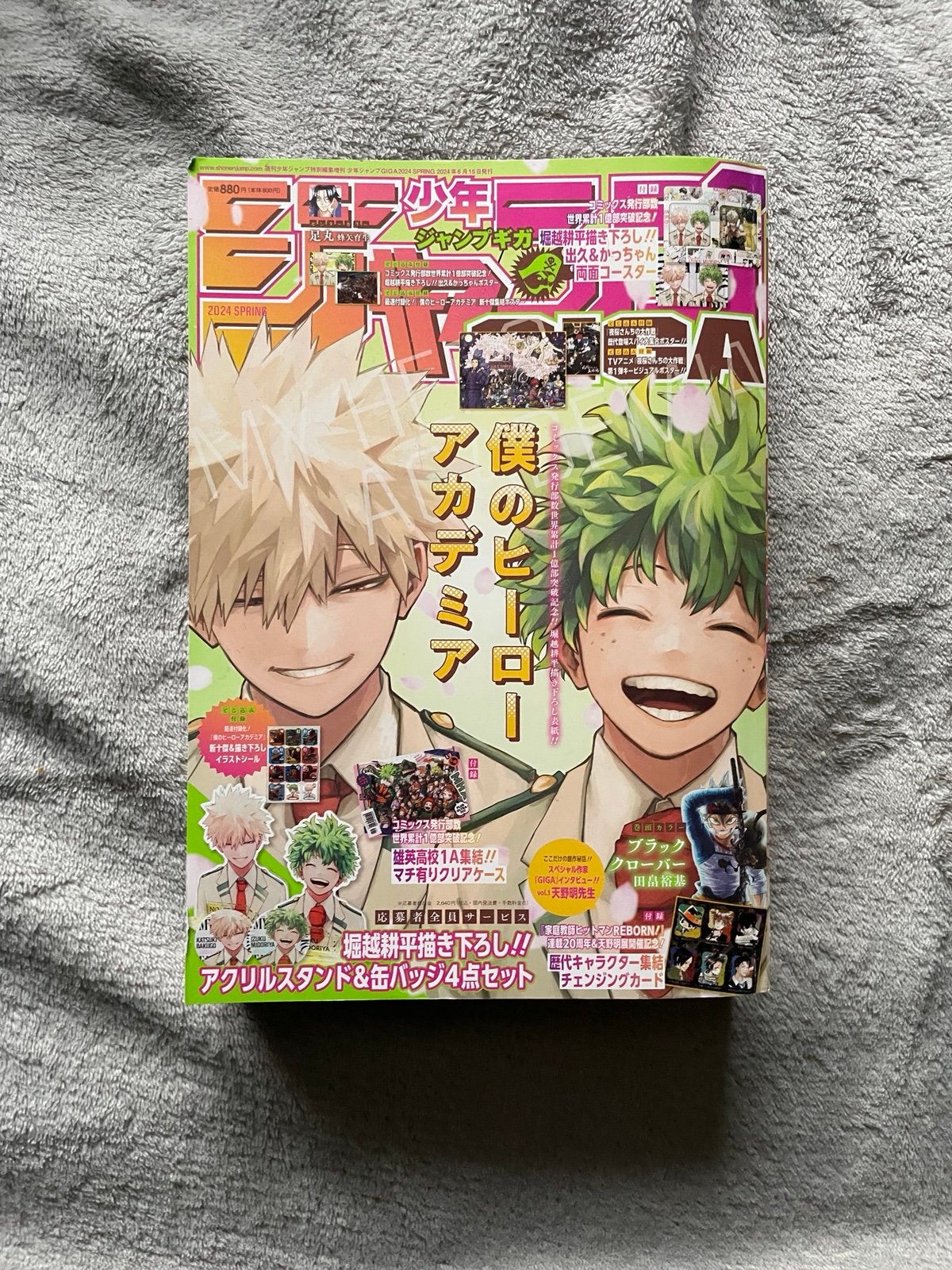 My hero academia magazine