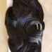 Black Full Head clip in Extension