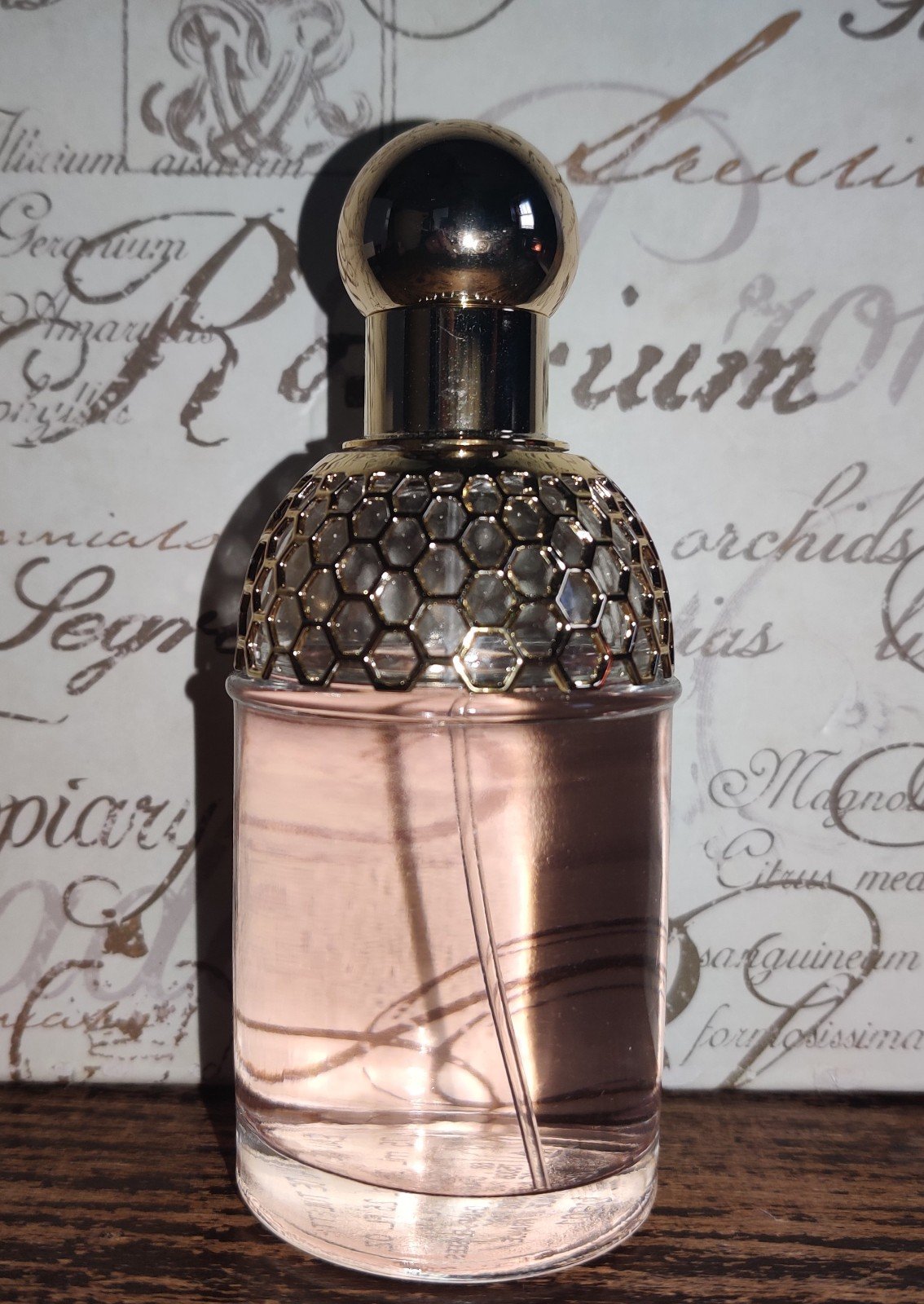 専用希少ゲラン アクア アレゴリア ginger piccante 75ml ゲラン / アクア アレゴリア ジンジャー ピカンテの公式商品情報