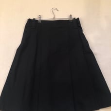 Burberry Skirt
