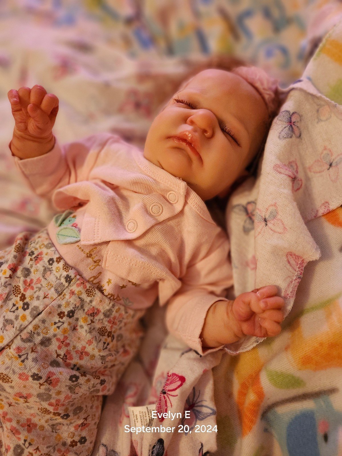 Reborn Romilly