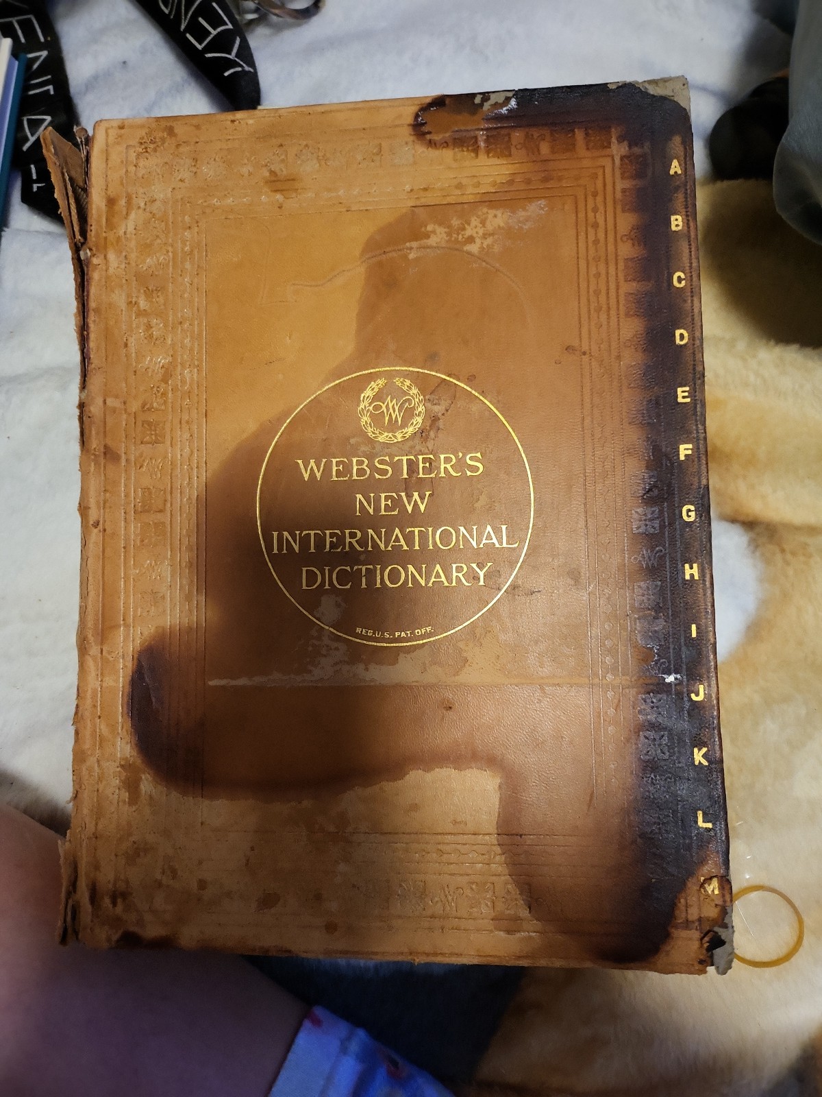 websters new international english dictionary 1924