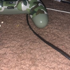 controller