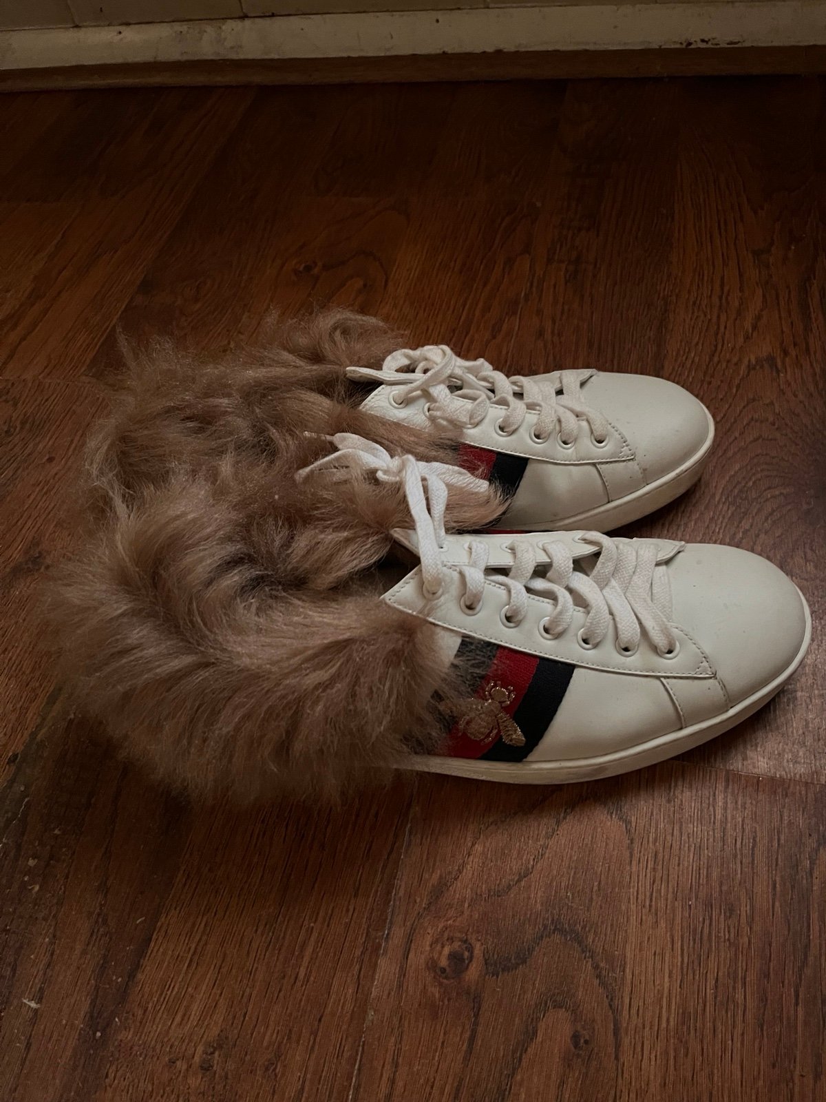 Gucci sneakers men