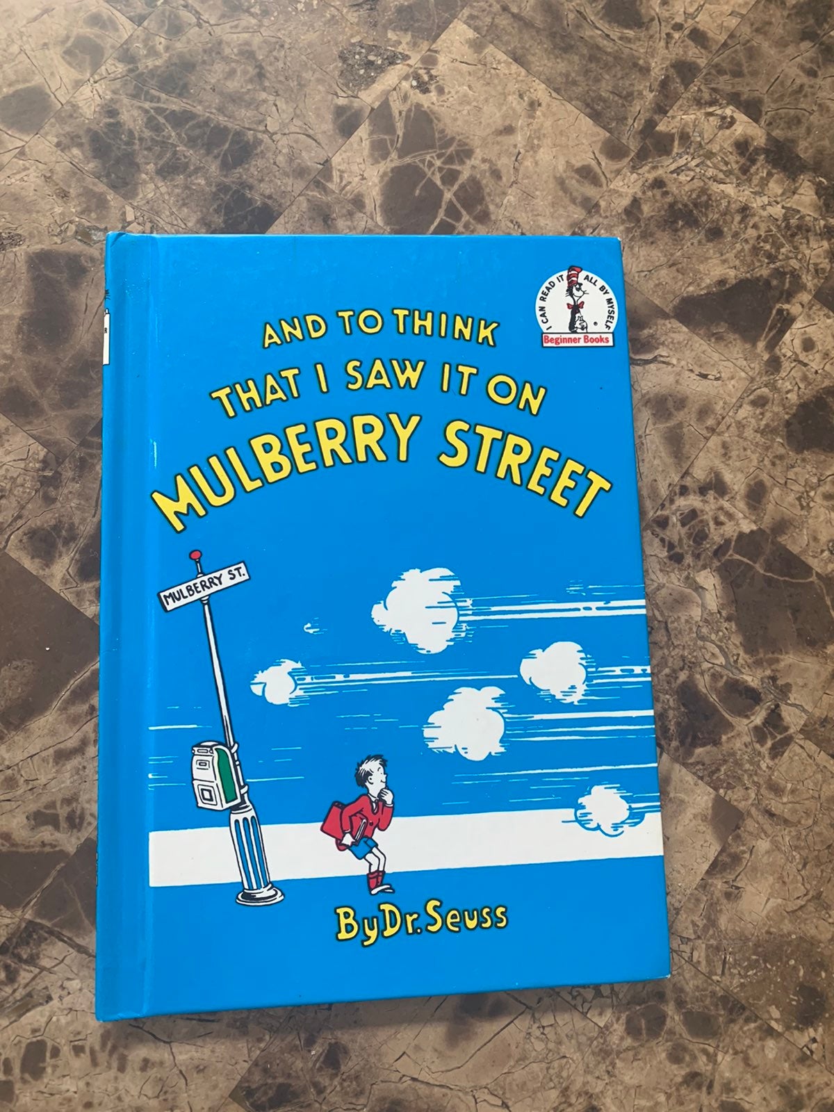 Dr. Seuss Book And to think I saw it on