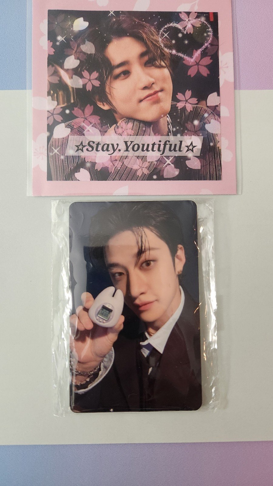 Stray Kids skz Tamagotchi OT8 Photocard pc Set