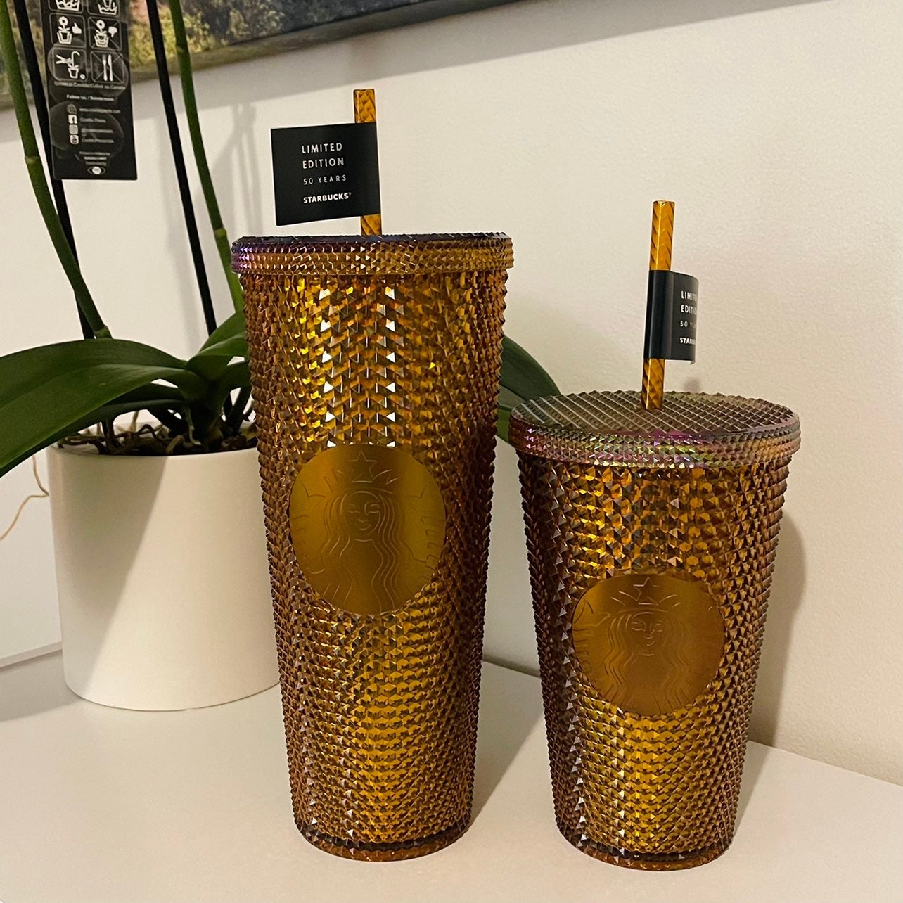 Starbucks Honeycomb Studded Set