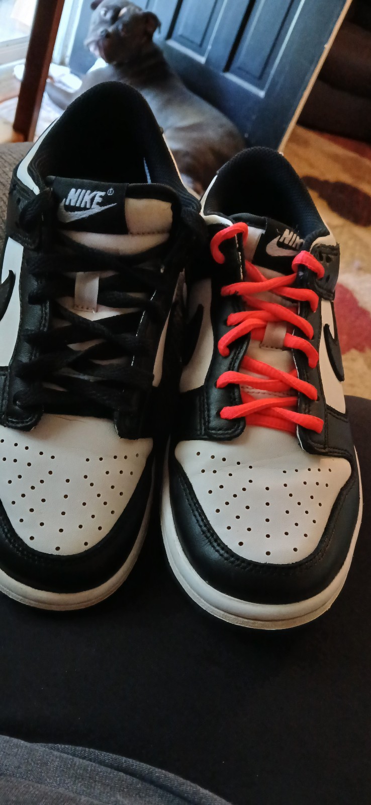 Nike dunks