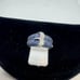 10k White Gold 1 ctw Blue Sapphire and .10 ctw Diamond Belt Style Ring - Size 6