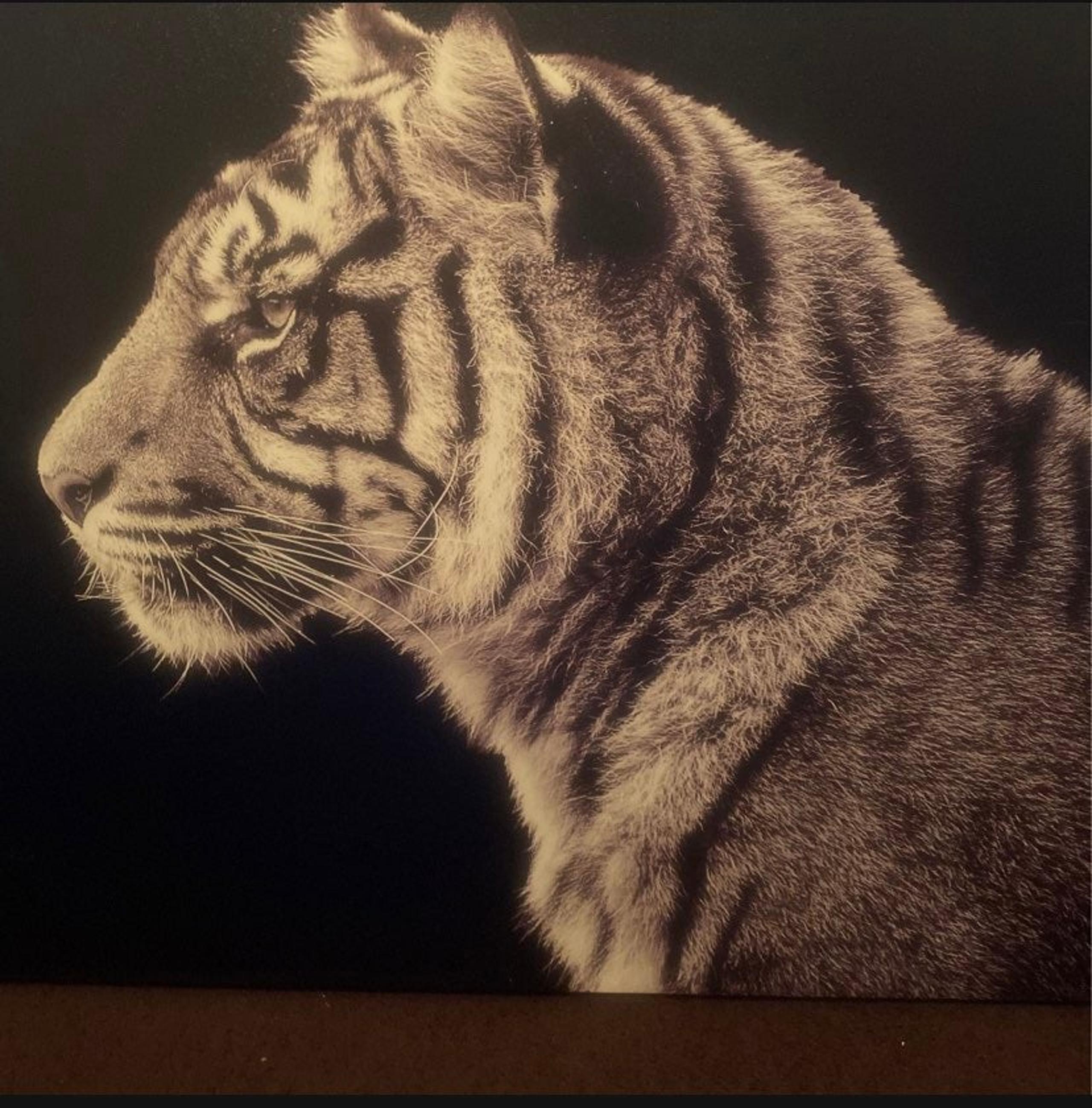 Tiger painting