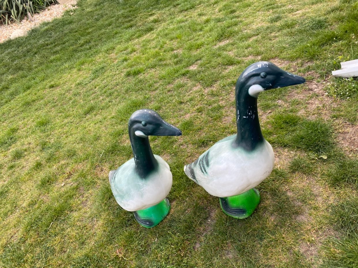 2 goose blowmolds
