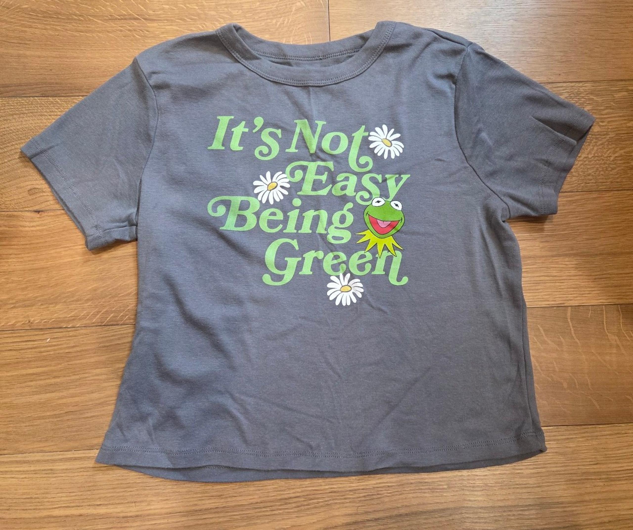 Disney The Muppets Kermit The Frog Graphic T-shirt IT'S NOT EASY BEING GREEN Med