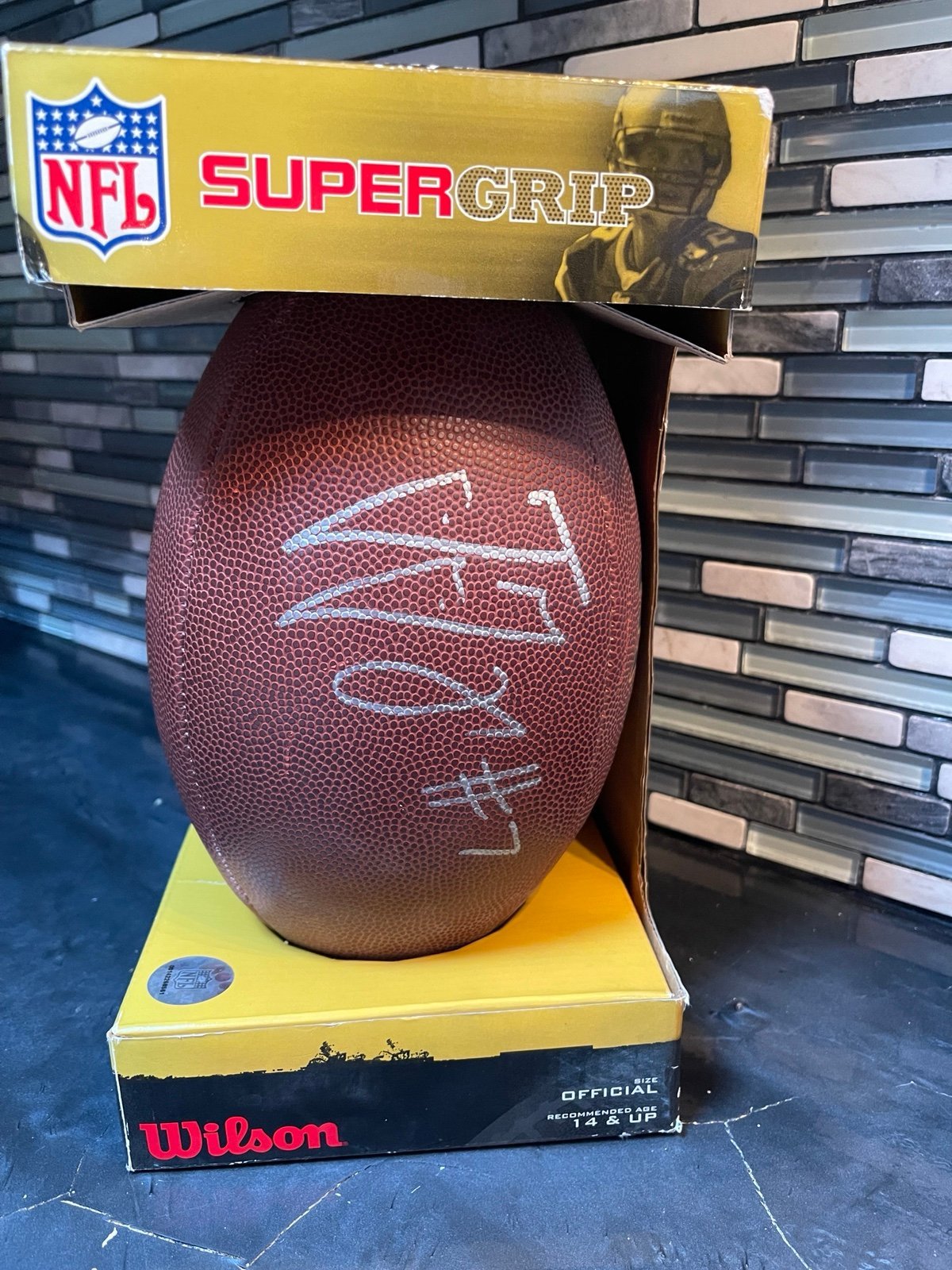 Ted Ginn Jr. Autographed Wilson Football