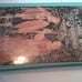 In the Dark Wood Wandering HC Hella S Haasse Middle Ages Anita Miller Academy Ch