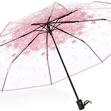 Folding Umbrella Automatic Bubble Cherry