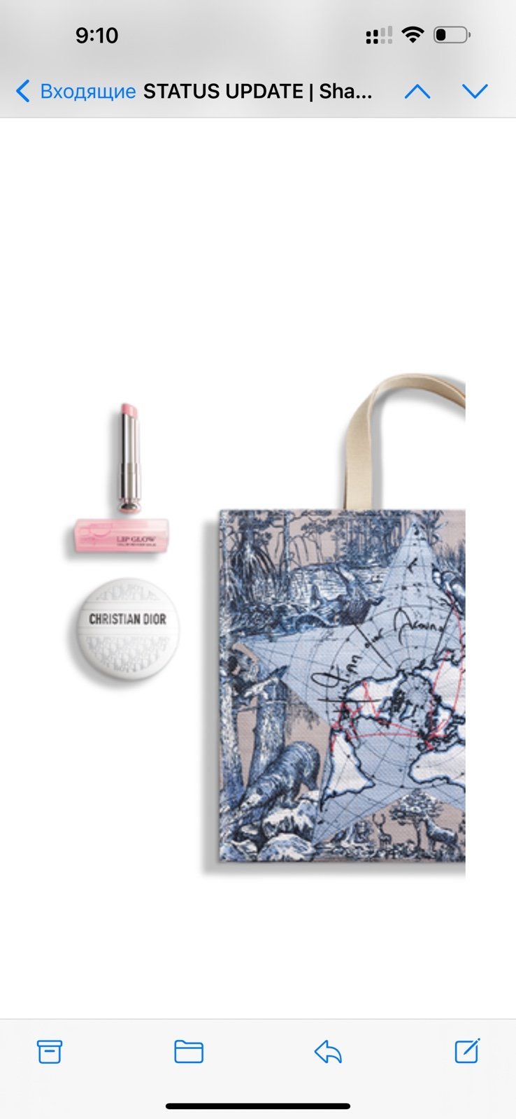 Dior around the world tote bag