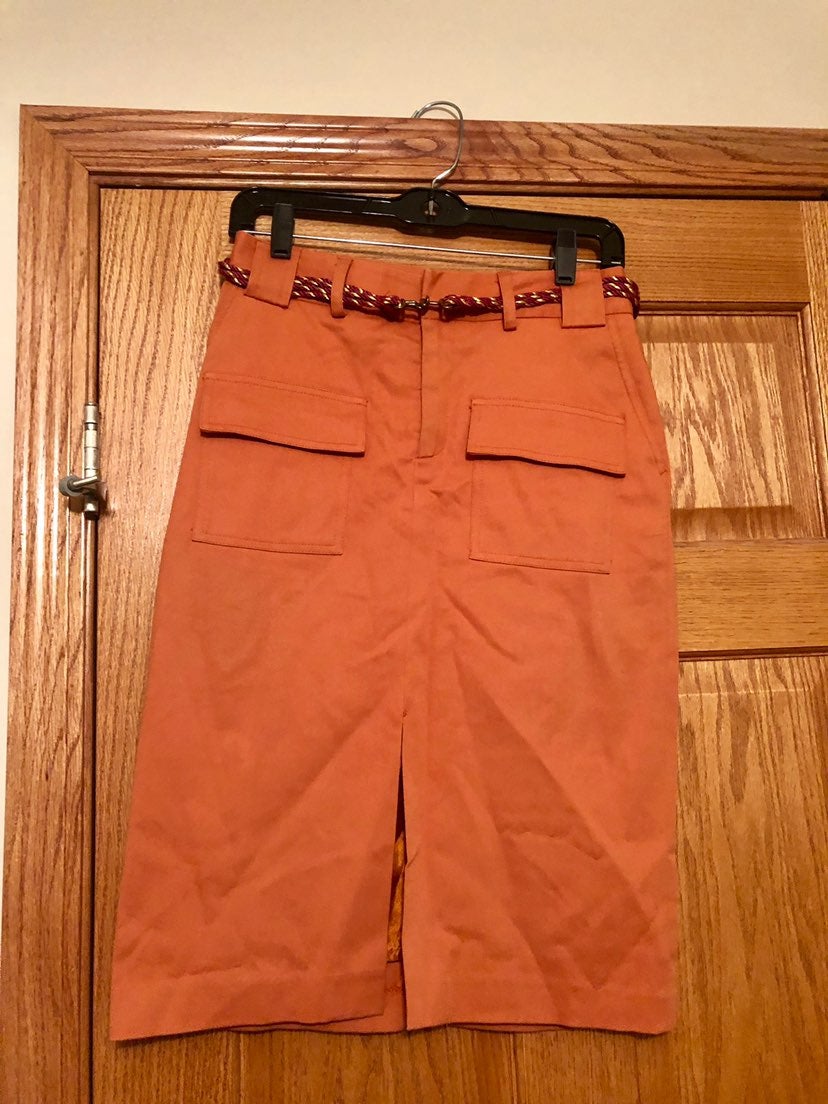 burnt orange chaiken Skirt