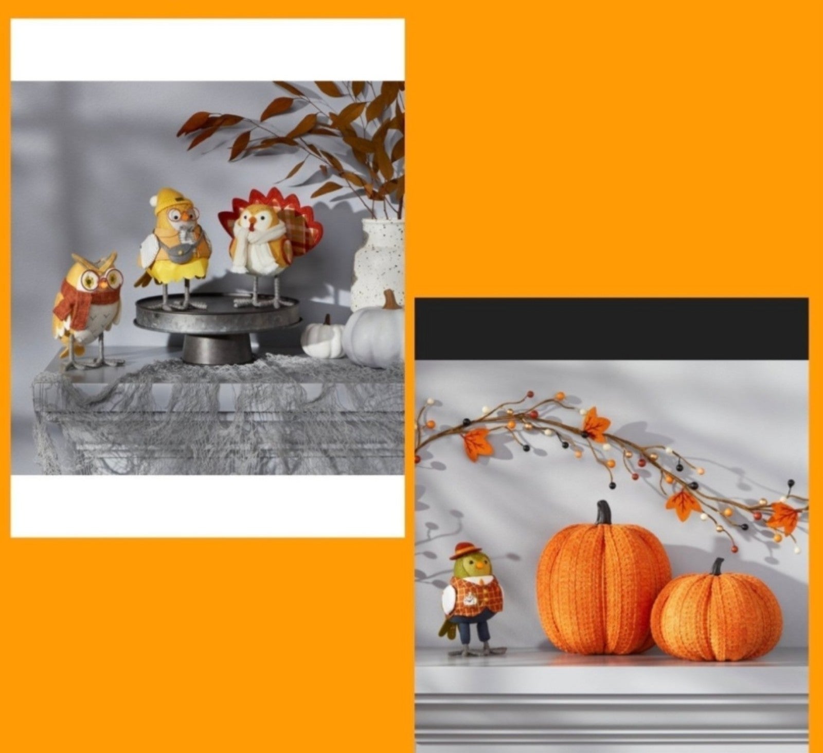 Target Fall Birds
