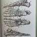ARTISTIC ANATOMY bANATOMÍA ARTÍSTICA ( Spanish) hard cover Marco bussagli