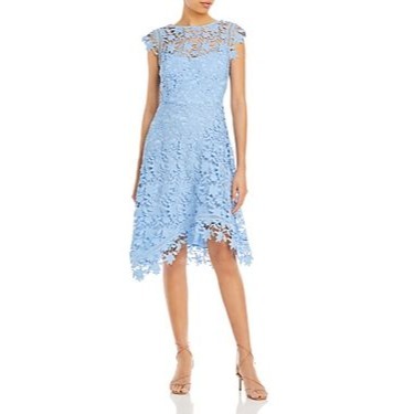 Eliza J Lace a-Line Dress