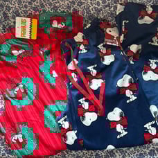 Peanuts snoopy holiday Christmas wreath bow size large new with tag so cute !!