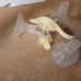 4 breastpumps+parts and extras!
