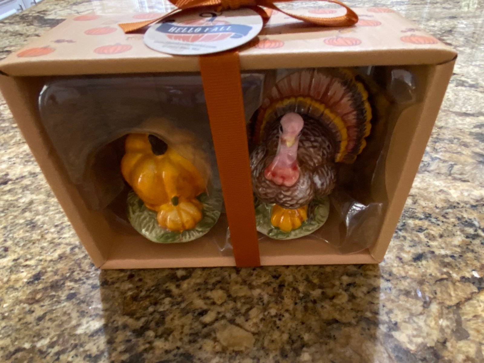 Blue Sky clayworks Hello Fall Turkey & Pumpkin salt pepper shakers