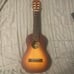 6 string ukulele