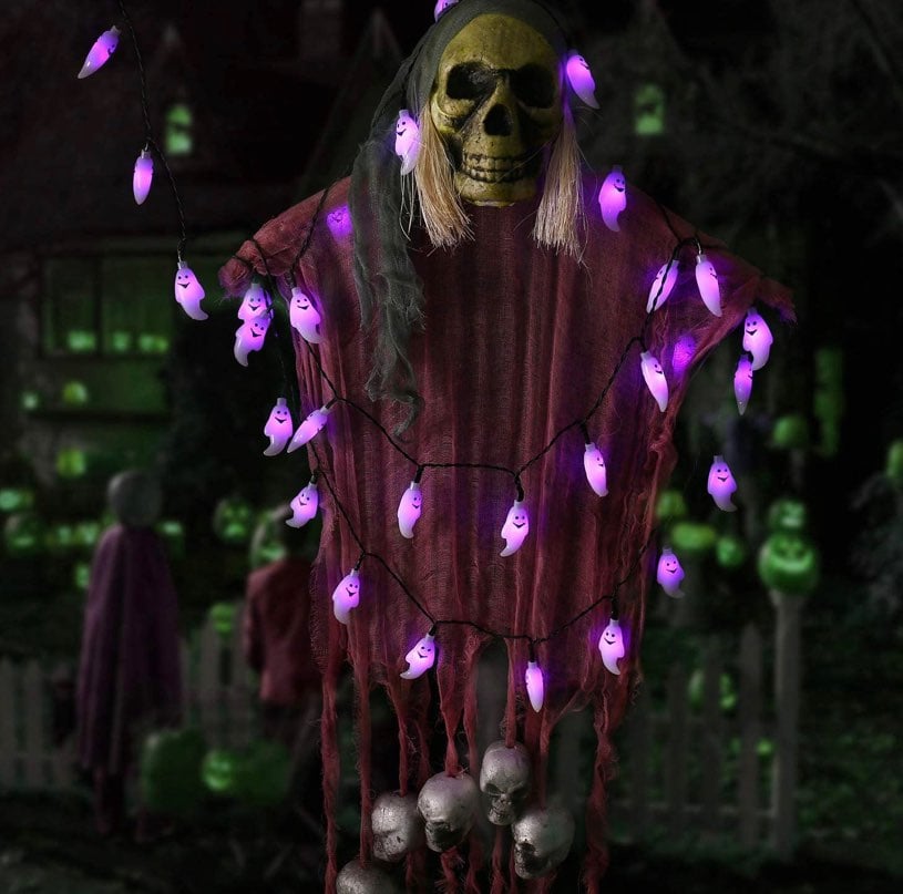 Halloween Lights 20 ft
