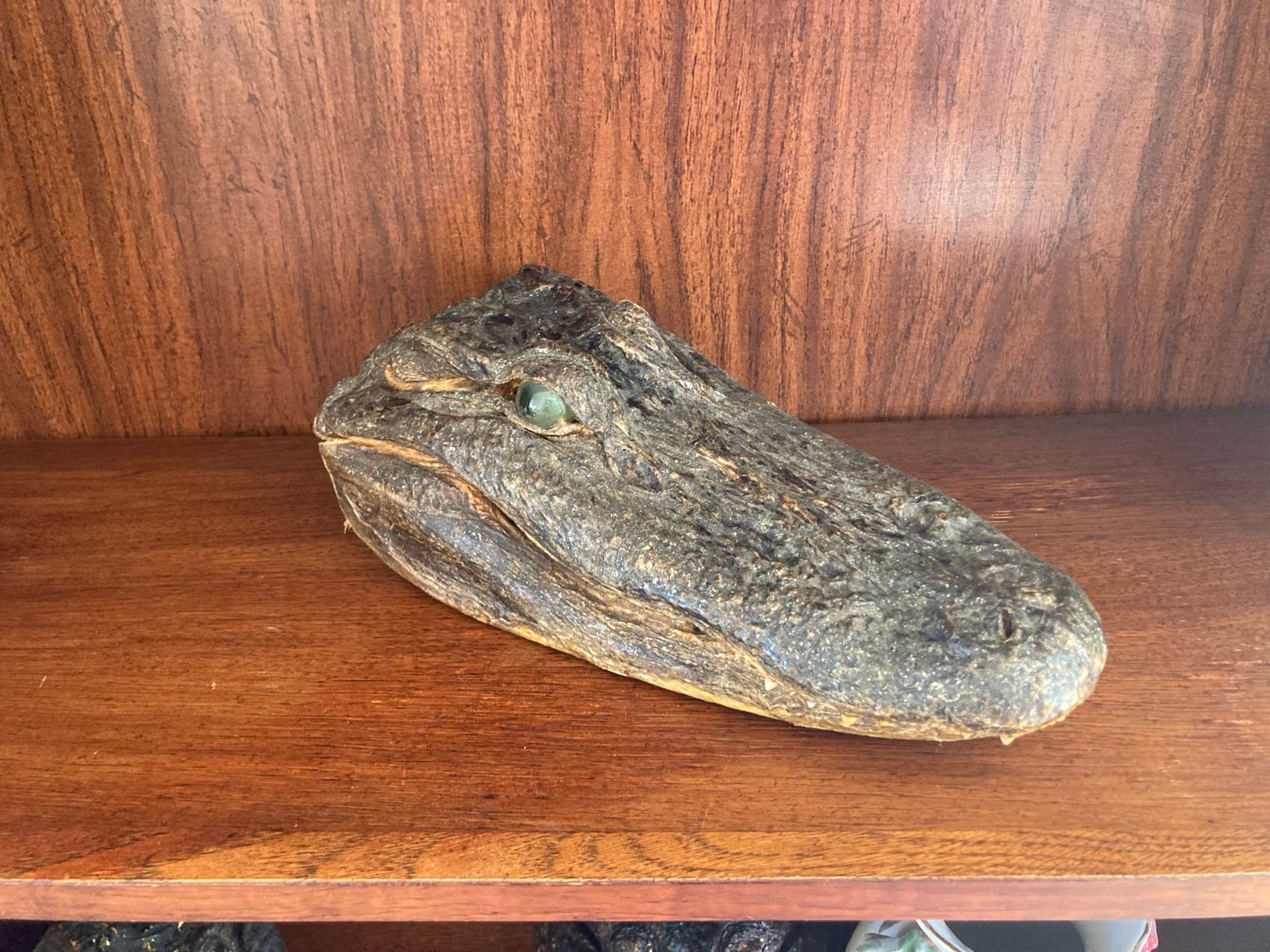 Gator head