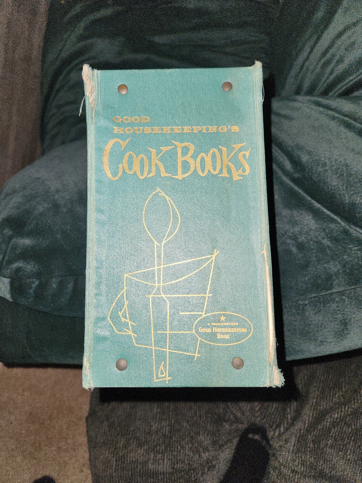 BIG NICE cookbook vintage