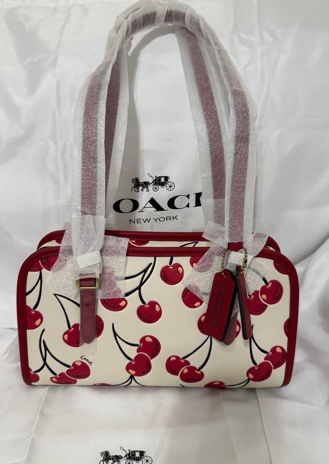 Swing Zip Bag With Cherry Print COACH