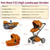 Hot Mom Baby Stroller High Landscape Reversible Luxury Baby Carriage,Brown