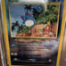 Pokemon Marill Southern Islands CGC 8.5 Reverse Holo Promo 11/18
