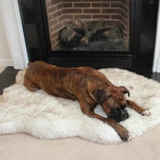 POOCH-LABS Faux Fur Dog Bed (Medium 93L x 56W CM)