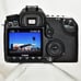 Canon EOS 40D SLR Digital Camera 10.1MP EF-S 18-55mm Lens 6584 Clicks RAW 2GB CF