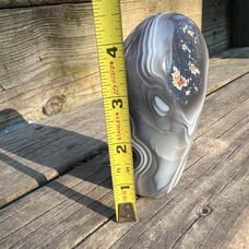 Large Orca Agate Freeform