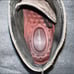 Eddie Bauer shoes
