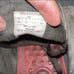 Eddie Bauer shoes