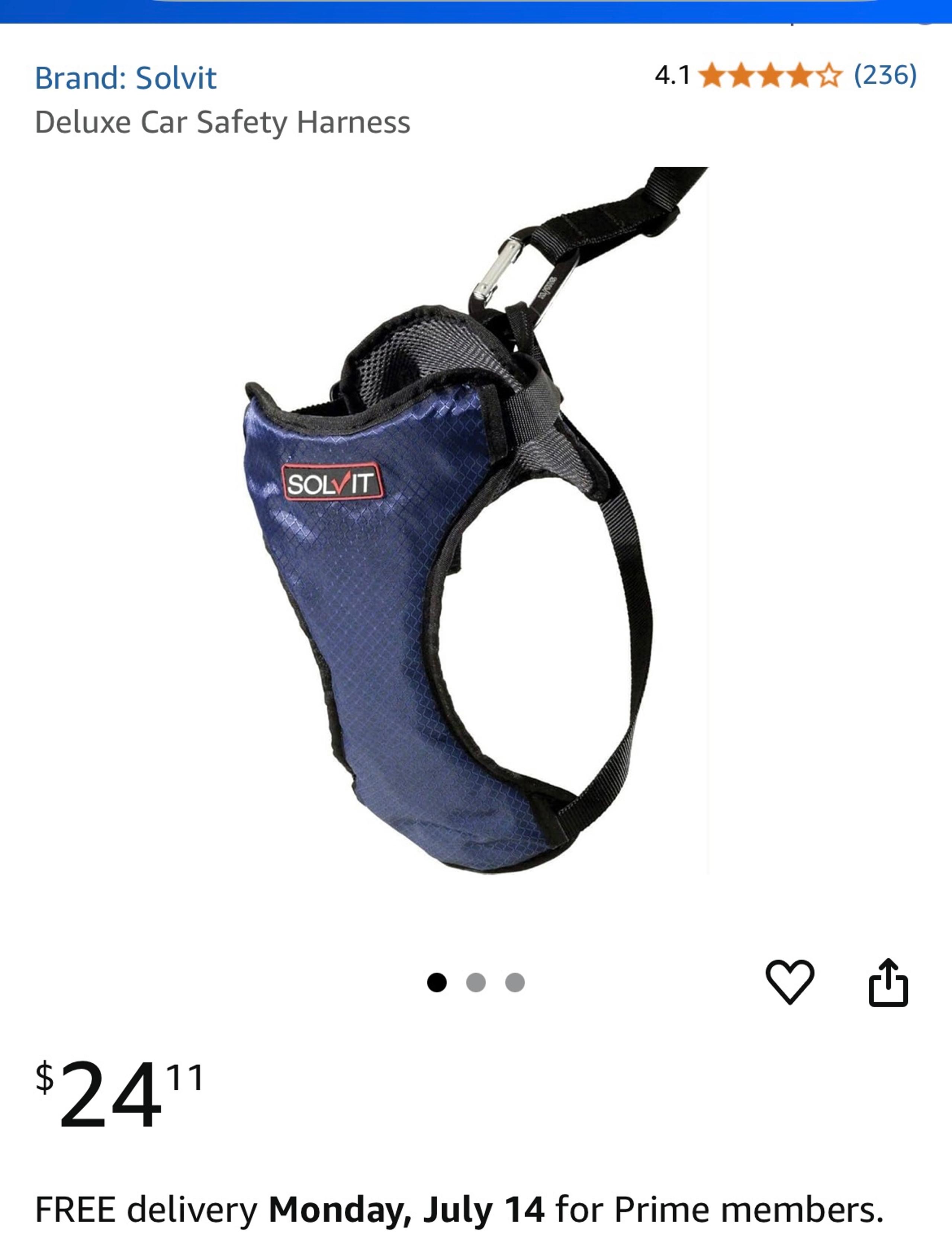 Dog safety harness