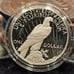 Silver dollar