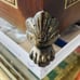 Vtg 11 1/2” W Ornate Hand Carved Solid Wood Hinged Storage Box with Claw Feet