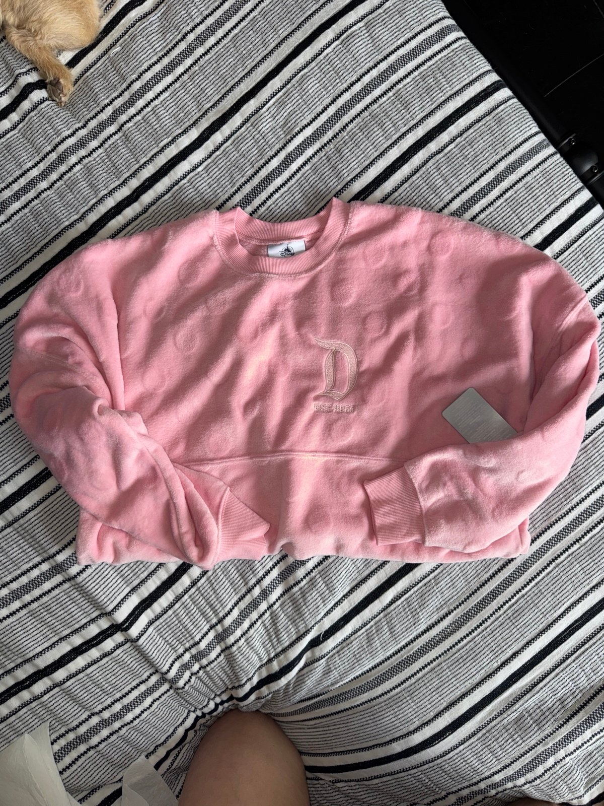 Disneyland pink piglet spirit jersey nwt