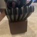 Henckels Dynamic edge knife set 12 pc with block NEW in BOX