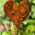Heart in the Garden Rusty Heart made of 14ga metal with 24 stakes