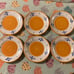Set of 6 hand painted clay terracotta made in Italy dinner plates !