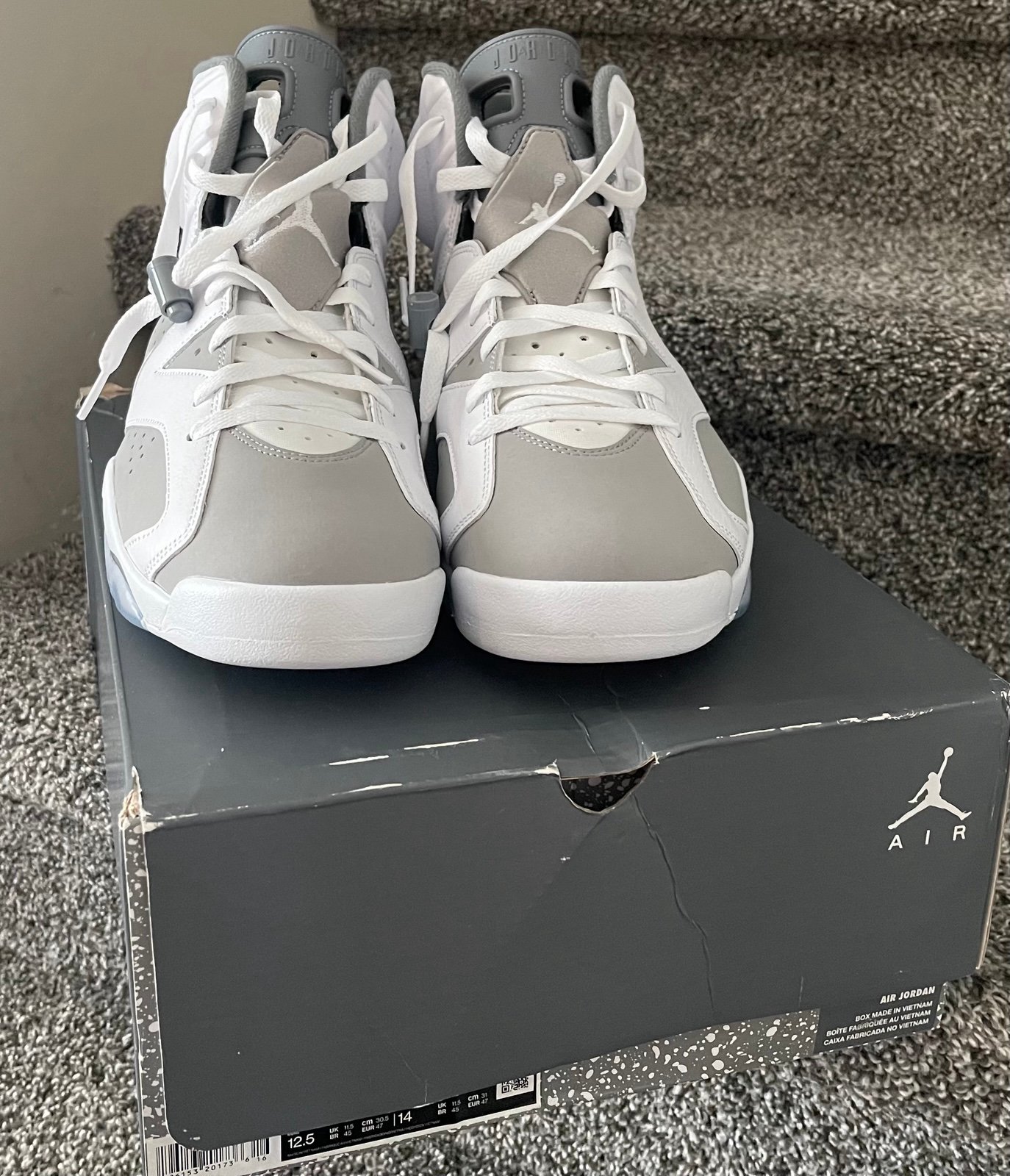 Air Jordan Retro 6