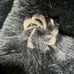 Faux Fur Stole Wrap Christian Lacroix Women’s Black NEW Crystal Brooch Snap 45